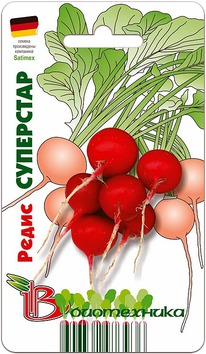 ����� ���������