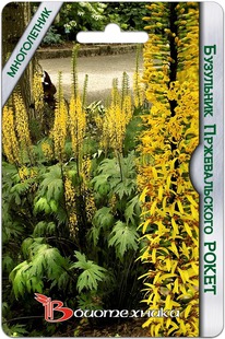 ��������� ������������� �����