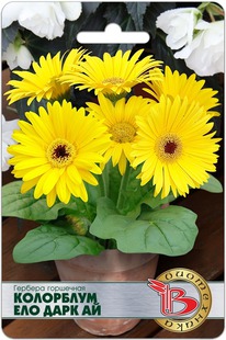 ������� ��������� ��������� ��� ���� ��