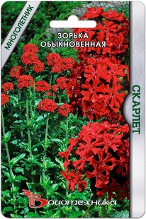 ������ ������������ �������