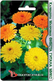 ��������� �������� ������ ������ ����