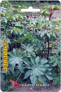 ��������� ��������