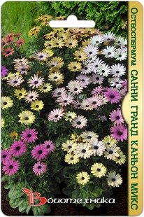 ������������ ����� ����� ������ ����