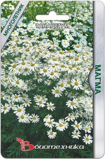 ��������� �����