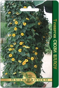 ��������� ���� �����