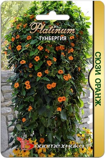 ��������� ���� �����