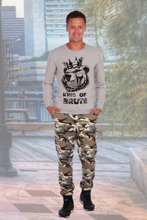 ������ ������