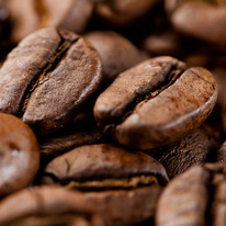 ����� ������ - ���� � ����� 