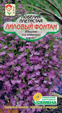 ������� ������ �������