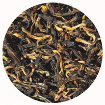 ������� ������� ��� 