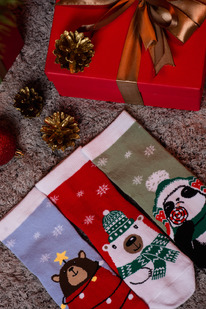 ����� ������ �������