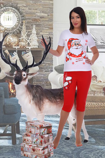 ������ 2172