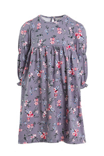 ������ ���� �������