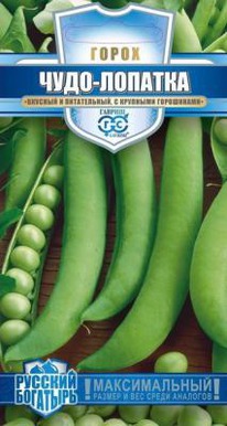 ����-������� ����� ��������