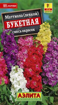 �������� �������� (������)