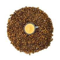 ���� ������� ������