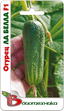 ������ �� ����� F1