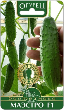 ������ ������� F1