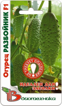 ������ ��������� F1