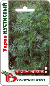 ����� ���������