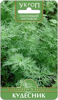 ����� �������� ��������