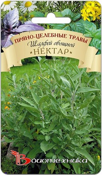 ������ ������� ������