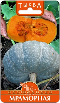 ����� ���������