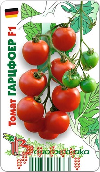 ����� �������� F1