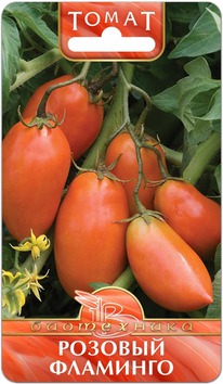 ����� ������� ��������