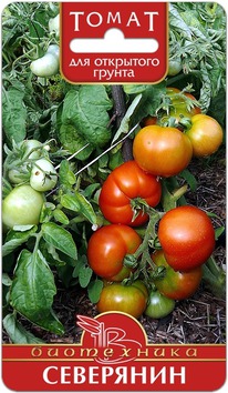 ����� ���������