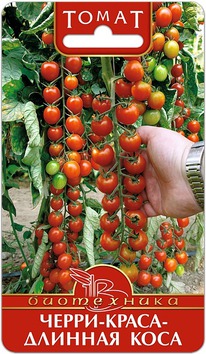 ����� �����-����� - ������� ����