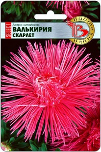 ����� ��������� ��������� ������ �������