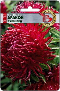 ����� ��������� ������ ������ ���� ���