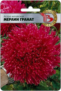 ����� ��������� ������ ������