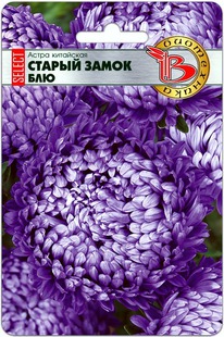 ����� ��������� ������ ����� ������ ���