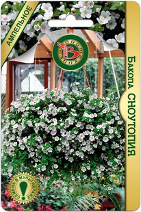 ������ ���������