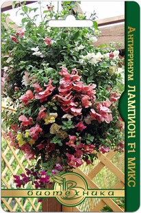 ���������� ������� F1 ����