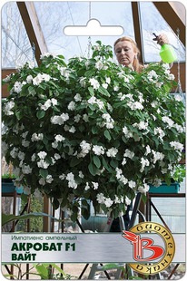 ��������� ��������� �������� F1 ����