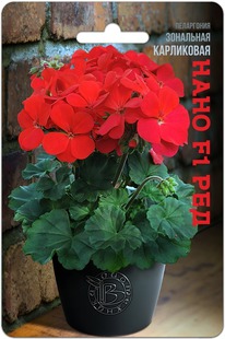 ���������� ��������� ���������� ���� F1 ���