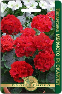 ���������� ���������������� ������� F1 �������