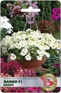 ������� ��������� �������������� ����� F1 �����