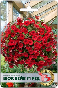 ������� ��������� ��� ���� F1 ���