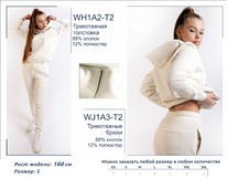 �������� WH1A2-T2 ��������� ������� BROSTEM