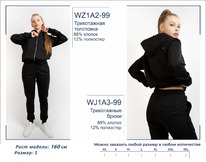 �������� WZ1A2-99 ��������� ������� BROSTEM