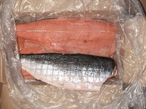 ���� ���� ������� ��� 5��