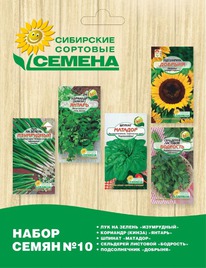 10 �����