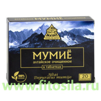   - ,   20 .  0,2 , . . 