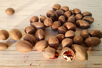 ����� � ��������, 0,5 ��