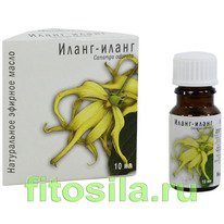 �����-����� ����� 10 ��, 