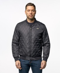 ������ WRS ws115